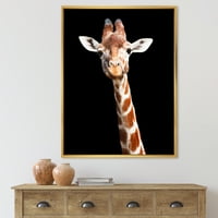 DesignArt 'Затвори портрет на жирафа на црна v' фарма куќа врамена платна за печатење на wallидови на wallидови