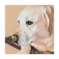 Трговска марка ликовна уметност 'Dlynns Dogs Shell' Canvas Art by Dlynn Roll