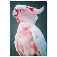 Wynwood Studio Canvas talkative Cockatoo животни птици wallидни уметнички платно печати розова 24х36